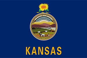 Kansas Flag