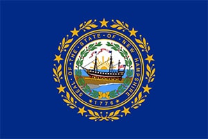 New Hampshire Flag