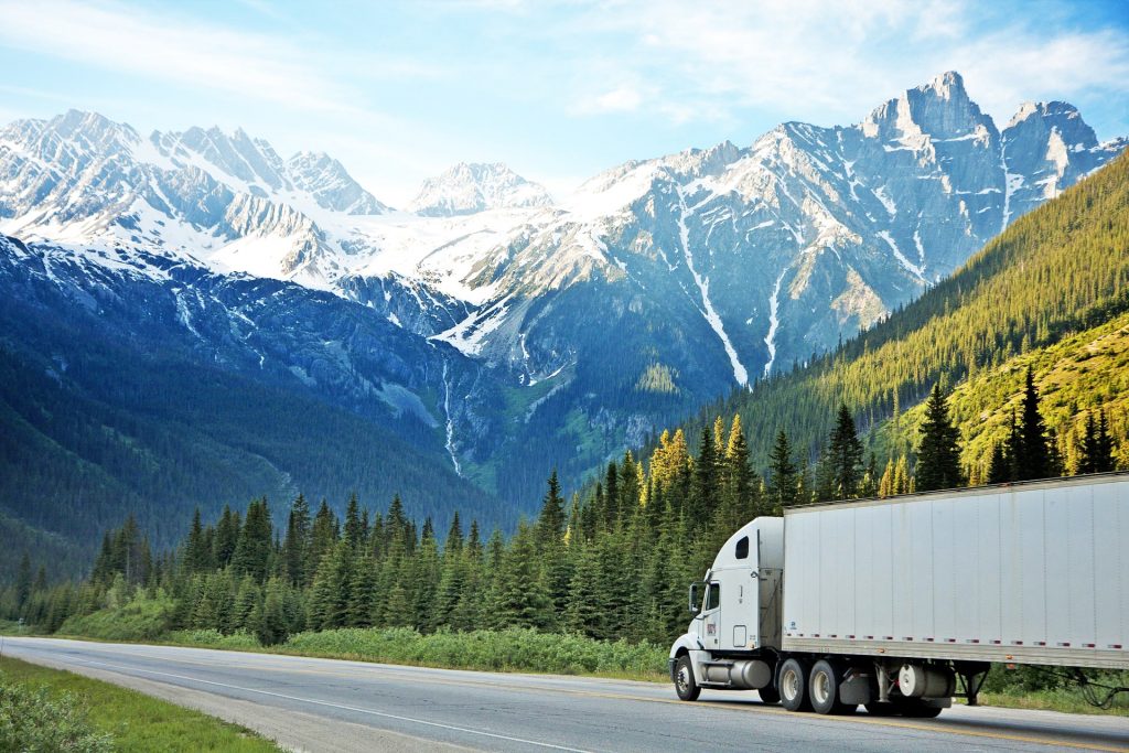 Truck driver on road