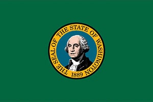 Washington Flag